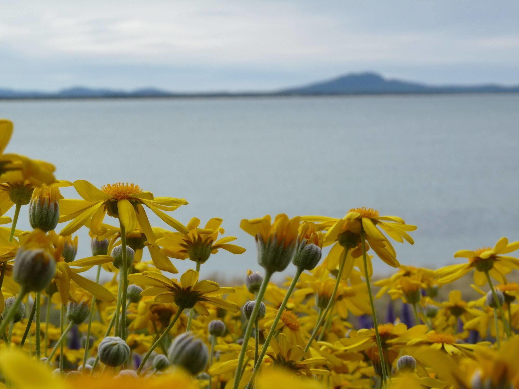 Swansea Motor Inn Tasmania Bagian luar foto